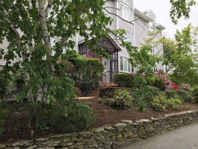 Exterior of 2-bedroom mid-rise condo at 963 Hancock Street, Quincy, Massachusetts showing landscaped entry and birch tree